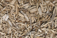 biomass boilers Llanystumdwy